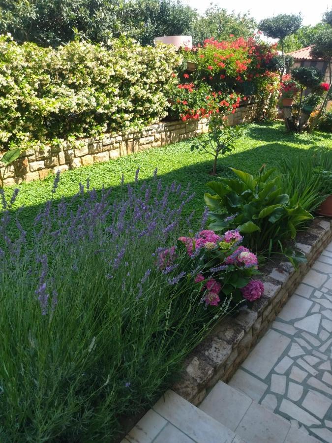 Zelena Oaza Apartment Novigrad Istria Eksteriør billede