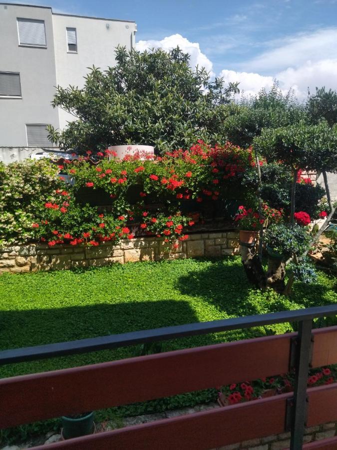 Zelena Oaza Apartment Novigrad Istria Eksteriør billede