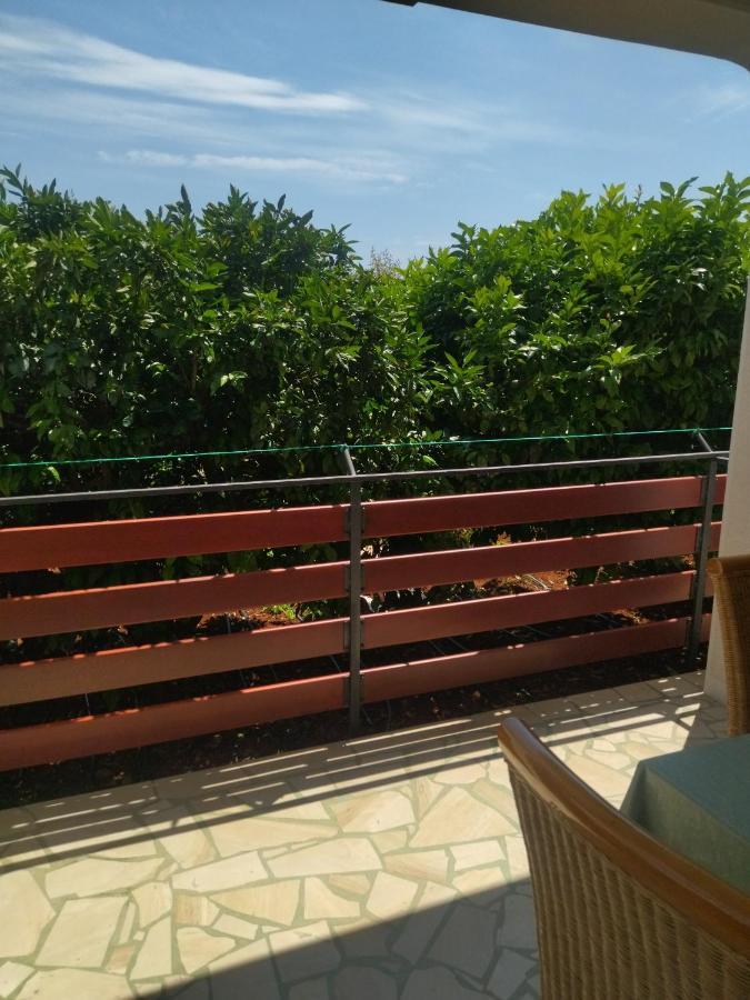 Zelena Oaza Apartment Novigrad Istria Eksteriør billede