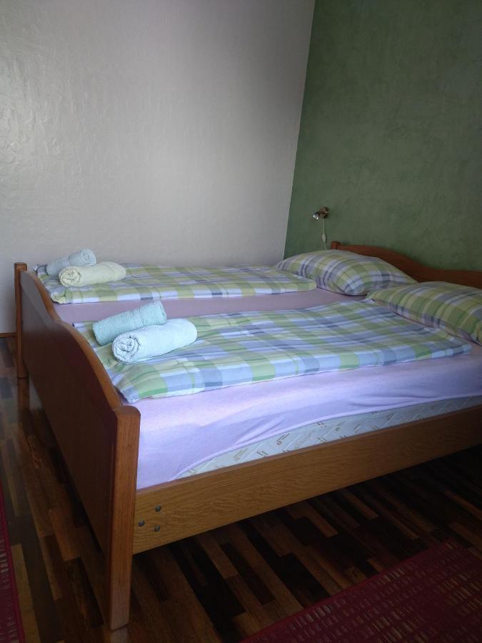 Zelena Oaza Apartment Novigrad Istria Eksteriør billede