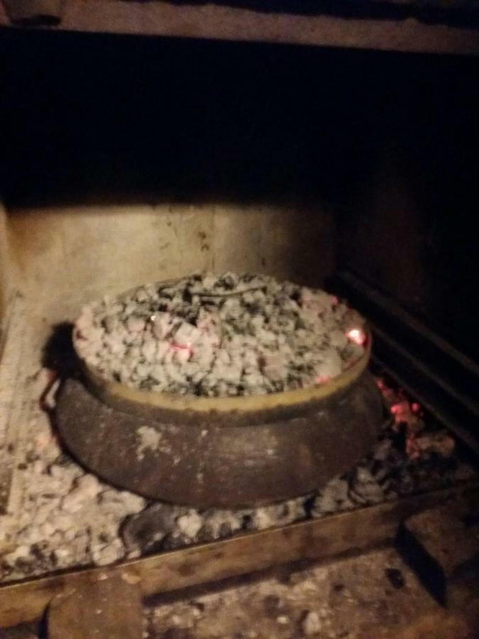 Zelena Oaza Apartment Novigrad Istria Eksteriør billede