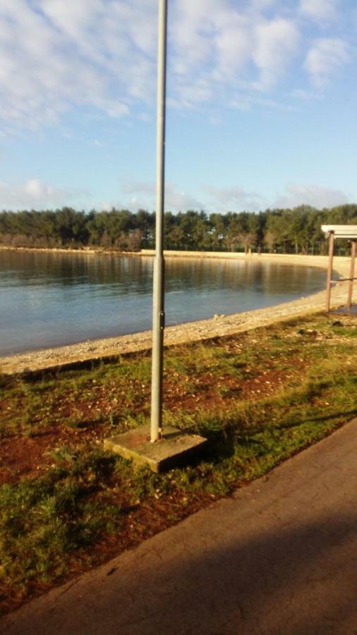 Zelena Oaza Apartment Novigrad Istria Eksteriør billede